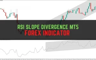 RSI Slope Divergence MT5 Forex Indicator 免费下载