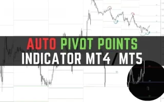 Auto Pivot Points Indicator MT4/MT5 免费下载