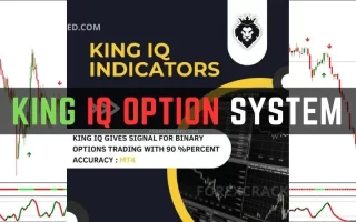 King IQ Option Indicator System 免费下载