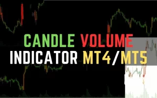 Candle Volume Indicator MT4/MT5 免费下载