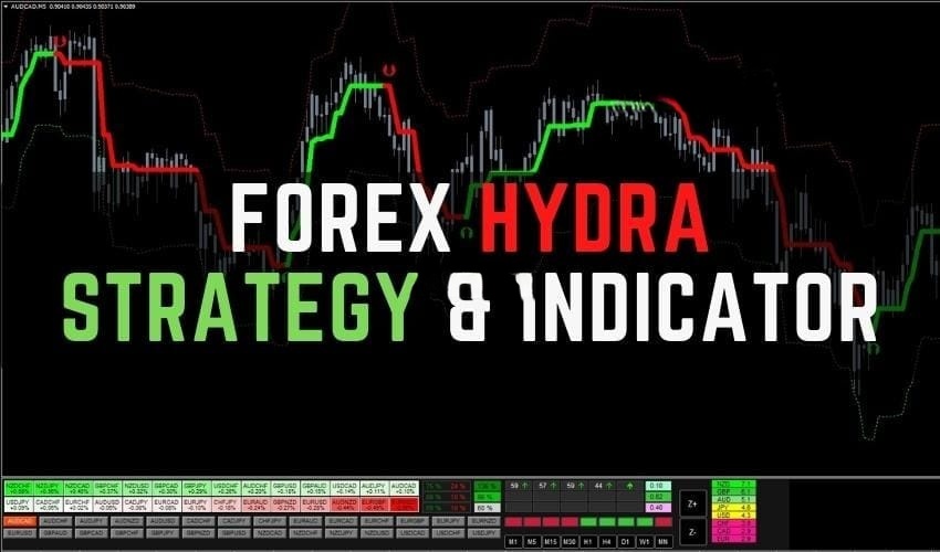 Forex Hydra Strategy & Indicator 免费下载