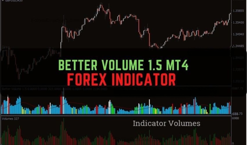 Better Volume 1.5 MT4 Forex Indicator 免费下载